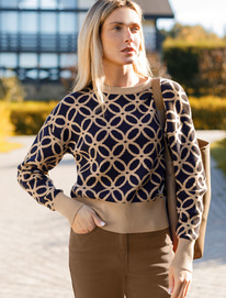 21.04 Vilatte ������� ���������� ����������� ����� � ��������� D39.309 �����-���