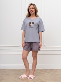 ������ ���� �-951 �����