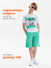 22.04 Pelican ����� ��� �������� BFH3369/1/3U ������