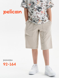 22.04 Pelican ����� ��� �������� BFH3352//2U ������-�����