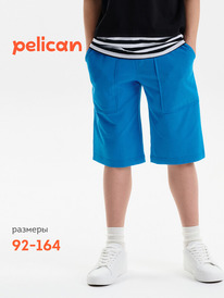 22.04 Pelican ����� ��� �������� BFH3352//4U ��������
