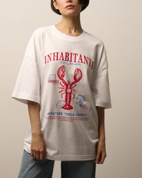 12.04  Oxouno ��������:��. ������ 2 OXO-1673-1252