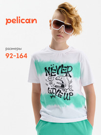 12.04  Pelican �������� ��� ��������� BFT3389 �����