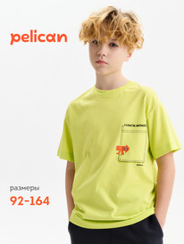 12.04  Pelican �������� ��� ��������� BFT3388/4 ��������