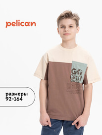12.04  Pelican �������� ��� ��������� BFT3370/4 ��������