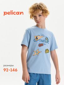 12.04  Pelican �������� ��� ��������� BFT3387 ���