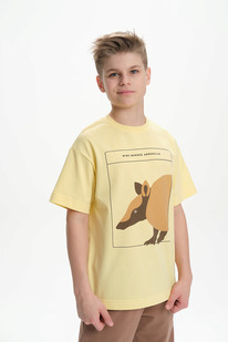 12.04  Pelican �������� ��� ��������� BFT3370/2 ������