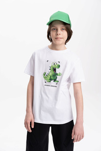 12.04  Pelican �������� ��� ��������� BFT3369/1 �����