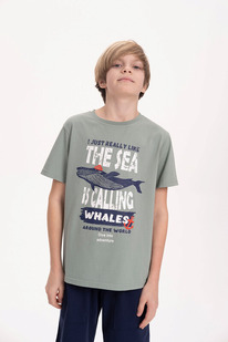 12.04  Pelican �������� ��� ��������� BFT3371 ������-�������