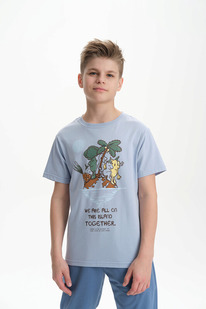 12.04  Pelican �������� ��� ��������� BFT3370/1 ���