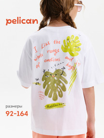 12.04  Pelican �������� ��� ������� GFT3390/1 �����
