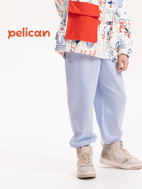 12.04  Pelican ����� ��� ������� GFPQ3319/2U ���