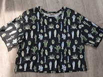 �������� ����������� S