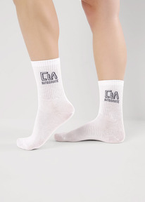 �����  Clever ����� ������� CLE �5566 �����