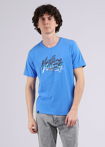 �����  Clever �������� ������� CLE 542284/10�_� �������