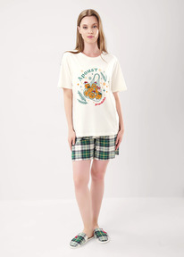 �����  Clever ������ ������� CLE LP15-1199/1 ��������/�.������