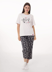 �����  Clever ������ ������� CLE LP15-1187/2 ��.�����/�.�����