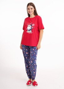 �����  Clever ������ ������� CLE LP15-1202/3 �������/�.�����