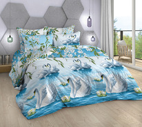 ������� �������� �� ���� ���� (220�240) - ��������� �����