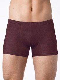 22.05 ALFA ����� ������� ALFA 6303 ����� ������� BOXER SHORTS 19�6303 ����� ����