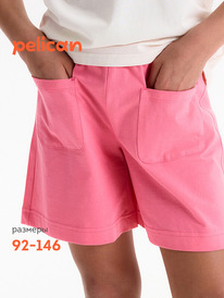 01.06 Pelican ����� ��� ������� GFH3369//3U �������