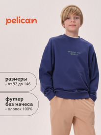 01.06 Pelican ��������� ��� ��������� BFN3371U �����-�����