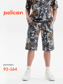 01.06 Pelican ����� ��� �������� BFH3389/1U �����
