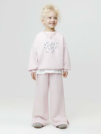 03.07 Crockid ����� ��� ��� �� 400935/������-������� 2803 �737