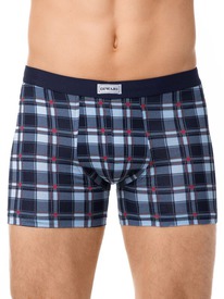 30.09 DiWaRi ����� ������� DIWARI SHAPE SHORTS 812 18�-499��� marino-red MSH 812