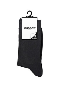 30.09 Chobot ����� ������� CHOBOT ����� ������� 4221-003 4221-003 ������ 493