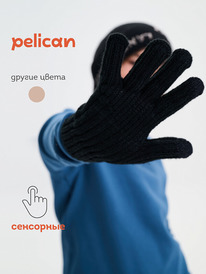 02.10 Pelican �������� �������
