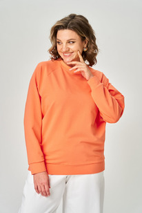 ������� Rumoda 2270 ���������