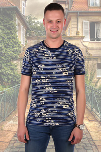 �������� 2061