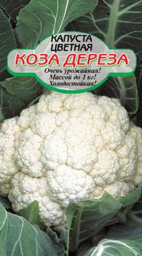 ����-������ ������� �������