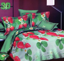 ��� ������ 2�� � ��������� �� ������� 160�200��