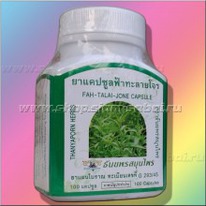 ��-�����-���� - ��� �������� ������ ������������