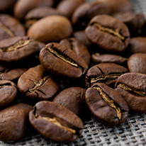 ����� ����� - ���� � ����� ���� ����� ����